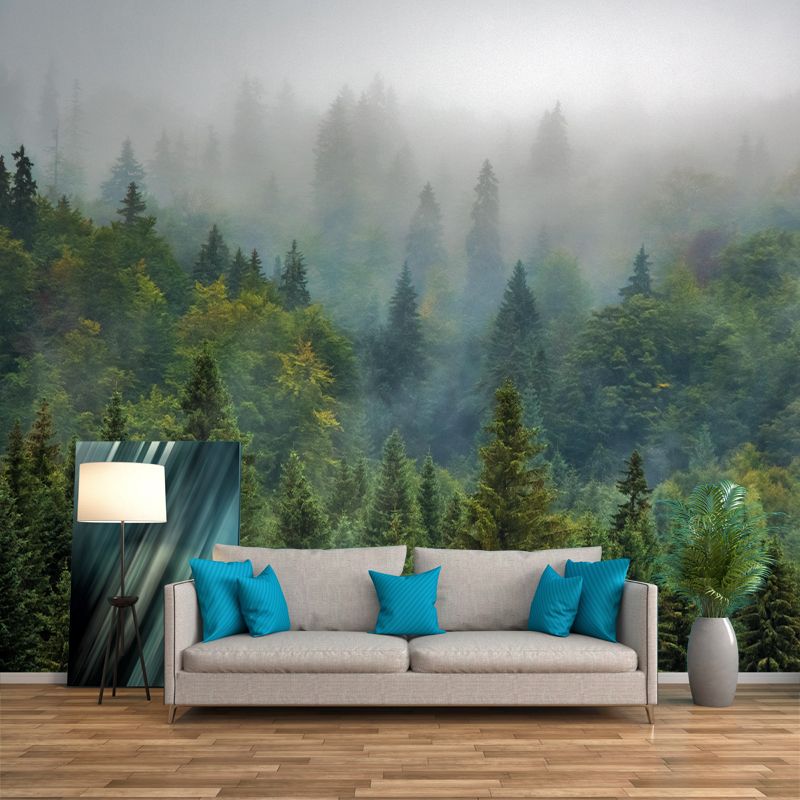 Photography Beautiful Forest View Mural Decorative Wallpaper Decor for Living Room