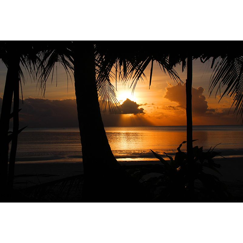 Decorative Wall Mural Wallpaper Tropical Landscape Sitting Room Wall Mural