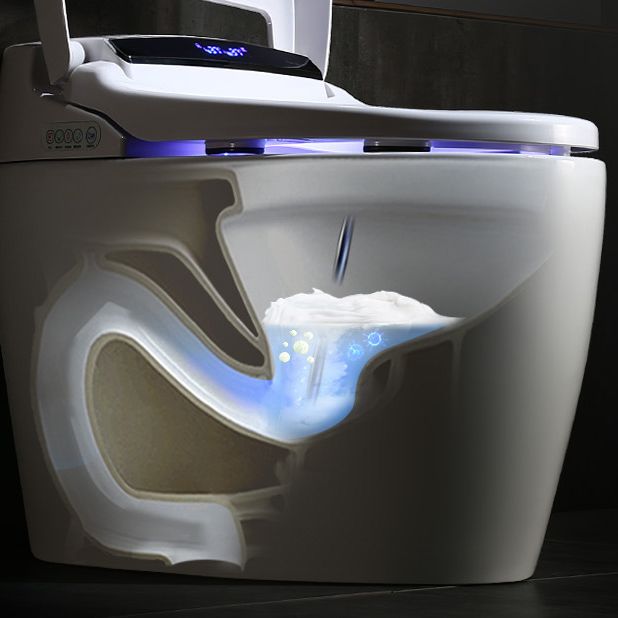 Modern 1-Piece Bidet Toilet Floor Mounted Toilet Bowl for Washroom