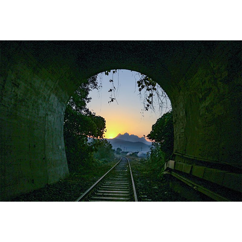 Soft Color 3D Art Illusion Mural Wallpaper Moisture Resistant for Wall Decor