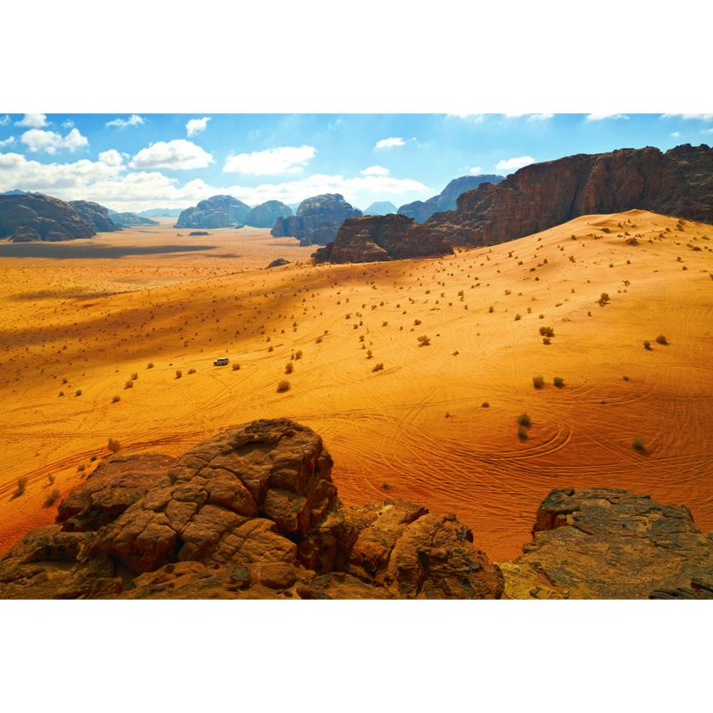 Modernism Desert Landscape Mural Decal Yellow Plant and Rock Mountain Wall Covering