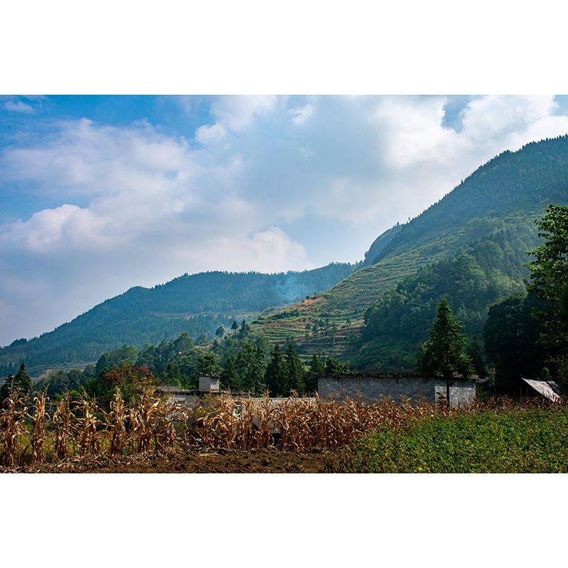 Environmental Mountain Wallpaper Photography Stain Resistant Modern Mural