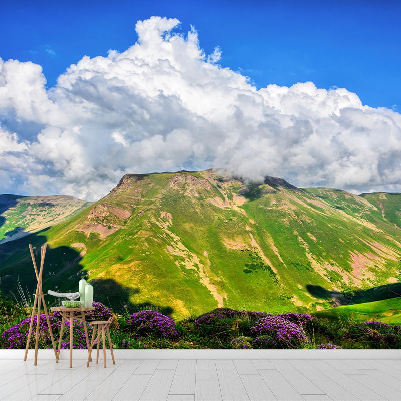 Mountain Scenery Wall Mural Modernism Style Wall Decoration for Living Room