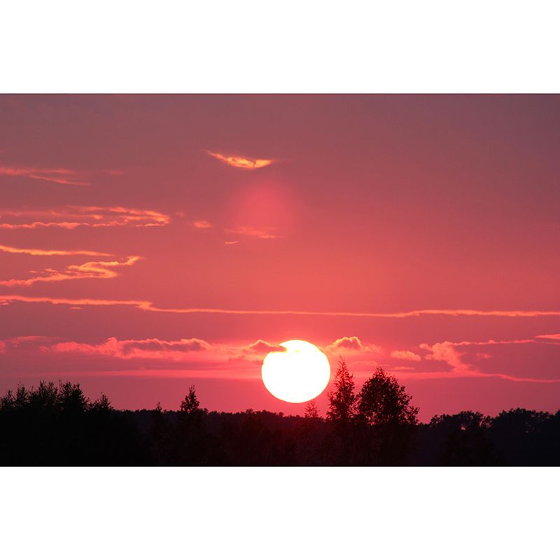 Sky Mural Decal Customized Contemporary Wall Covering for Dining Room Bedroom