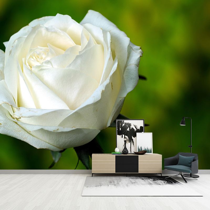 Photography Rose Mural Wallpaper for Sitting Room Decor Multiple Sizes Available
