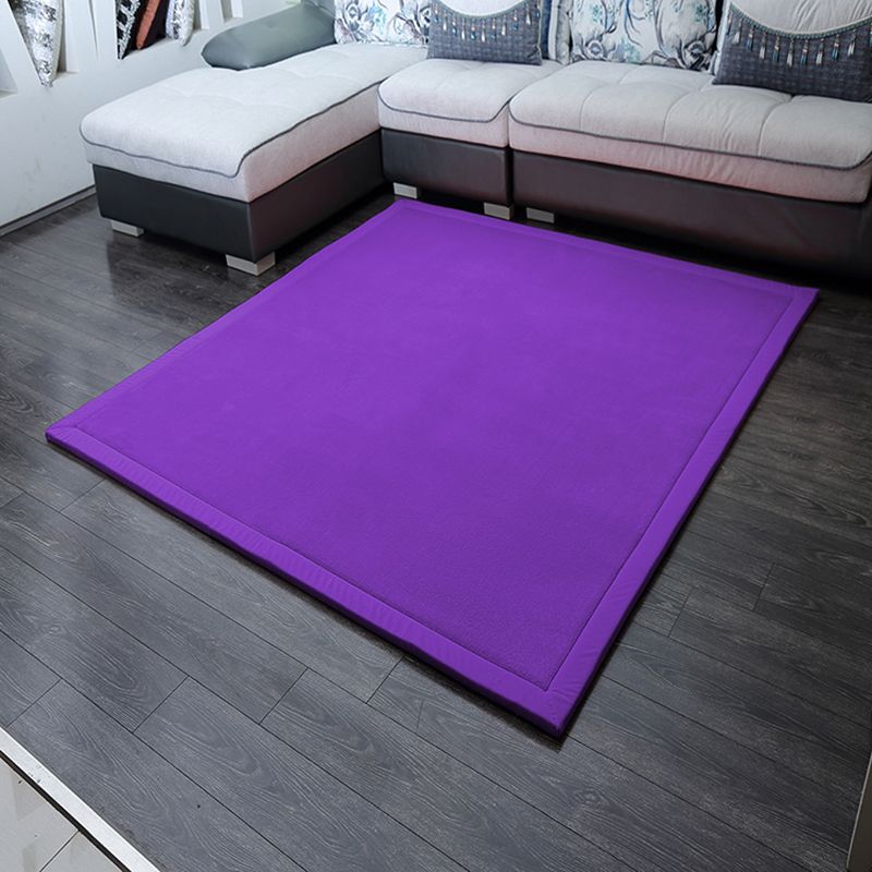 Minimalist Plain Shag Rug Polyester Indoor Carpet Non-Slip Backing Area Carpet for Living Room
