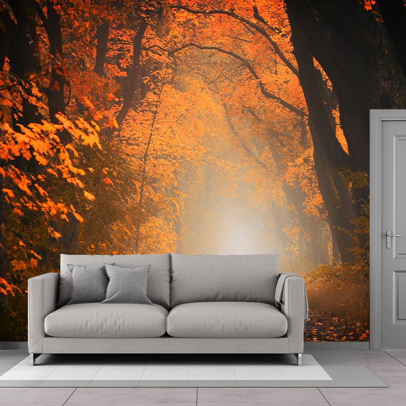 Contemporary Forest Mural Wallpaper Photography Horizontal Mildew Resistant for Bedroom