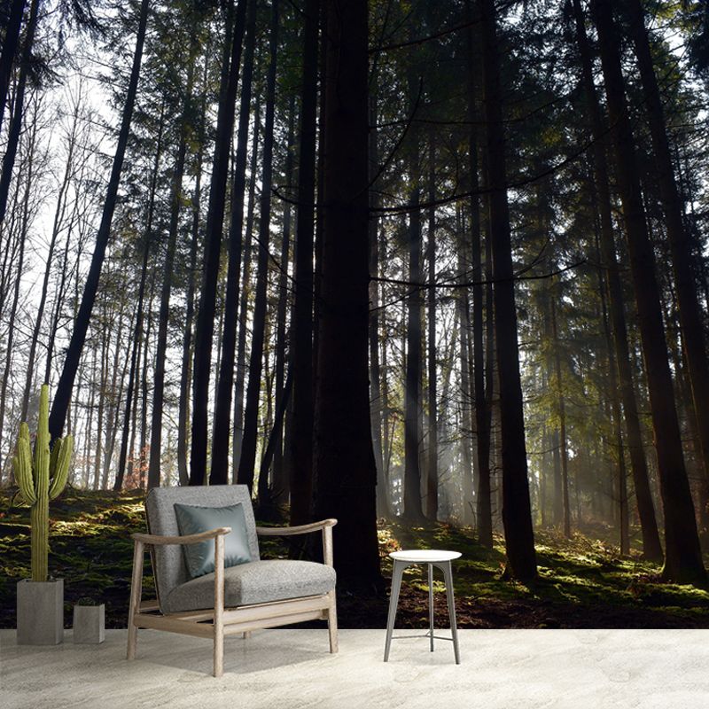 Misty Forest Wall Mural Great Wall Decor for Guest Room, Personalized Size