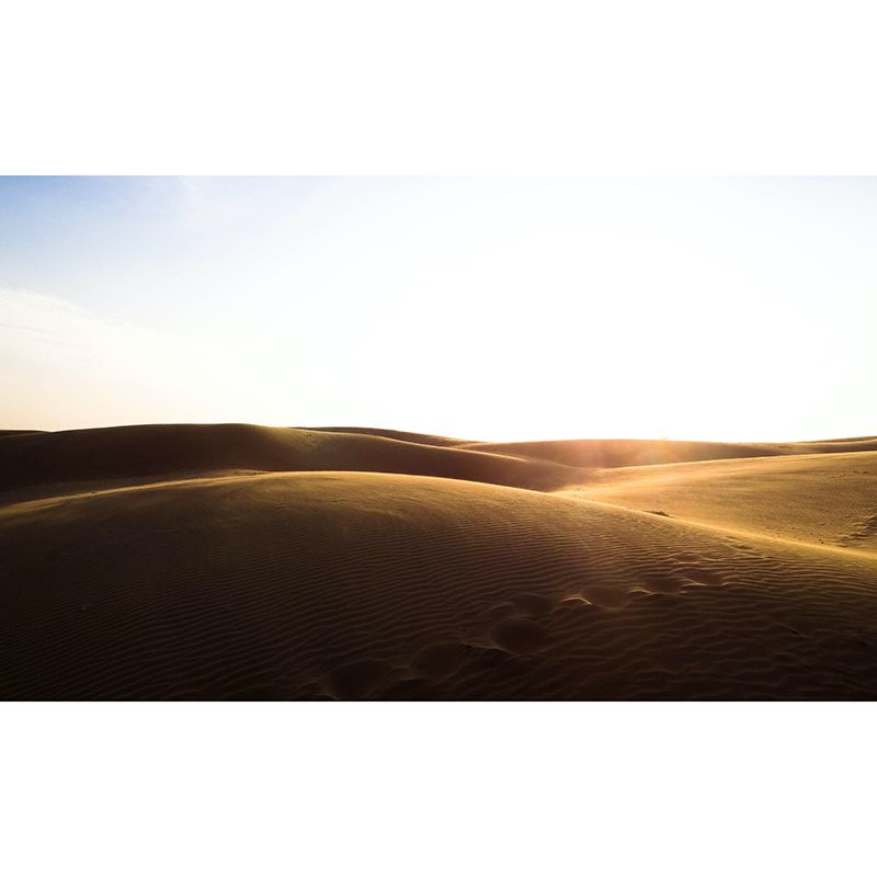 Tropical Desert Wall Covering for Home Decor Bedroom Customized Mural Wallpaper