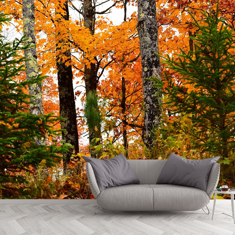 Forest Mural Wallpaper Scenery Modern Waterproof Wall Art for Living Room