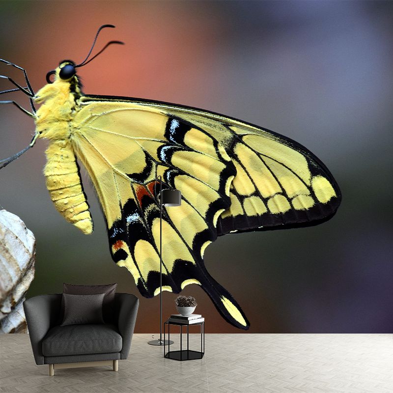 Customized Butterfly Wall Mural Wallpaper Horizontal Photography for Bedroom