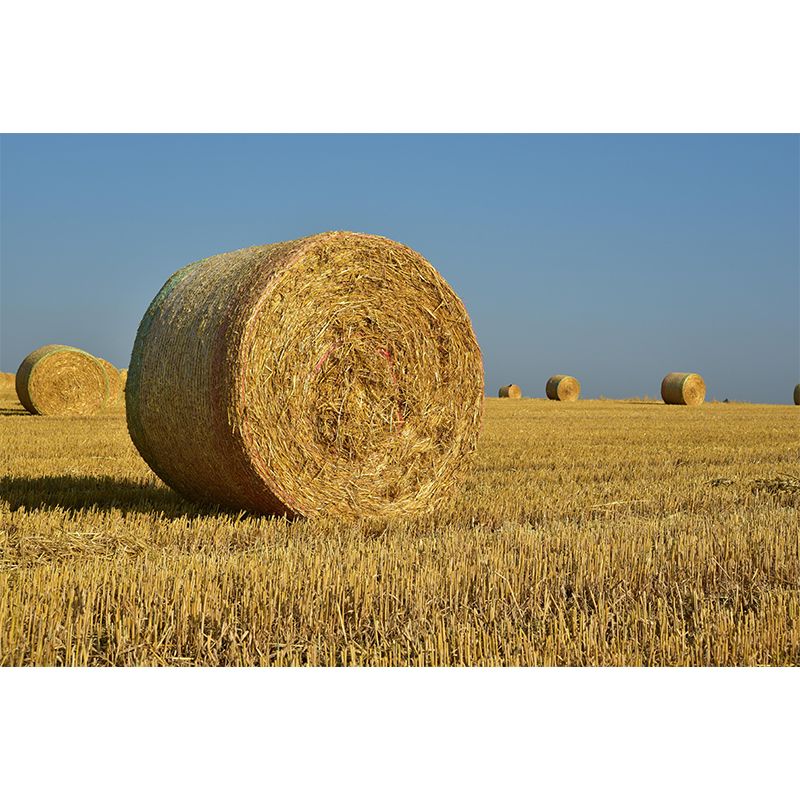 Customized Straw Bale Wall Mural Covering Mildew Resistant for Sleeping Room