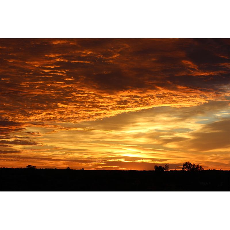 Customized Beautiful Sky Mural Mildew Resistant for Bedroom Decoration