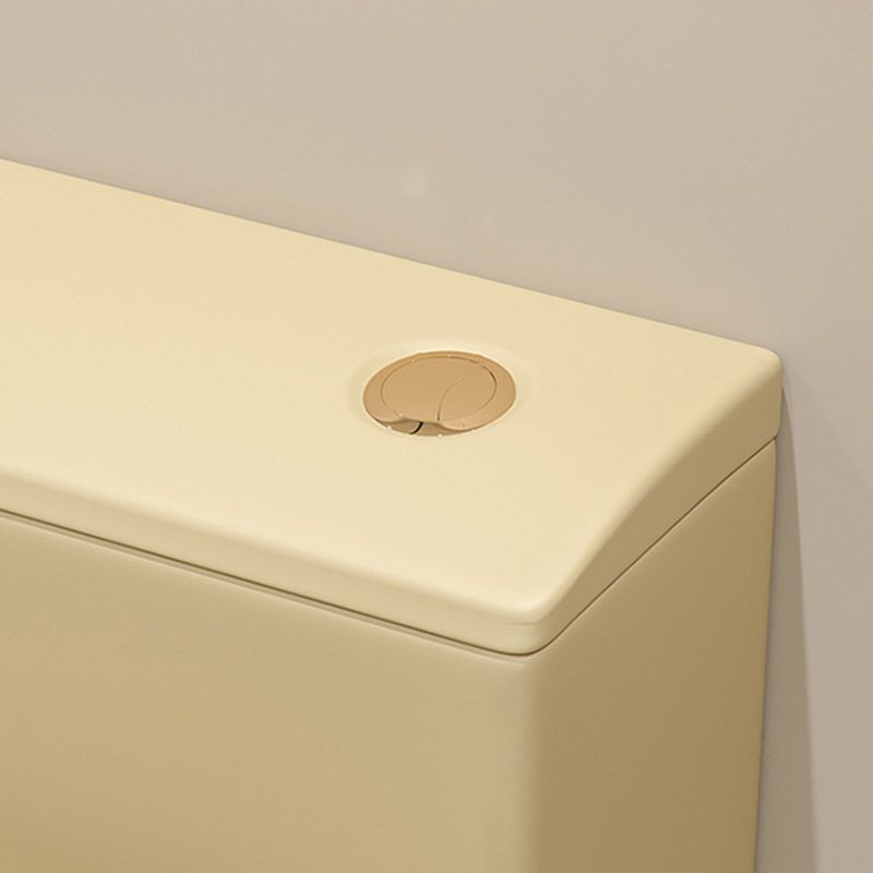 Floor Mount Toilet Traditional Skirted One-Piece Flush Toilet with Slow Close Seat