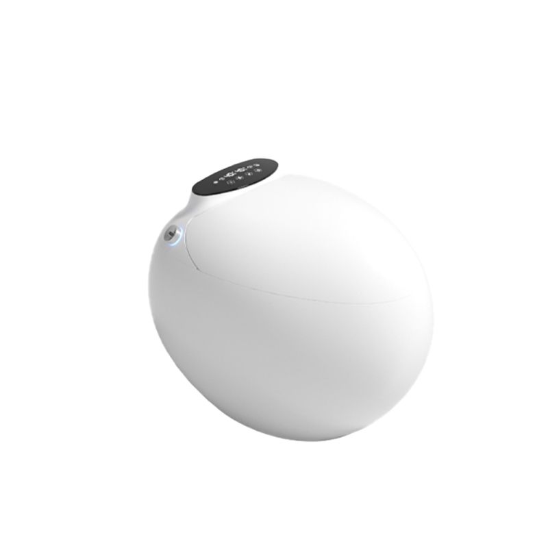 Contemporary Floor Mount Toilet Bowl Heated Seat Included Urine Toilet for Washroom