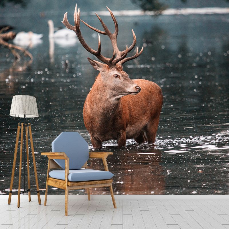 Deer Animal Mural Wallpaper Decorations for Sitting Room, Stain Resistant