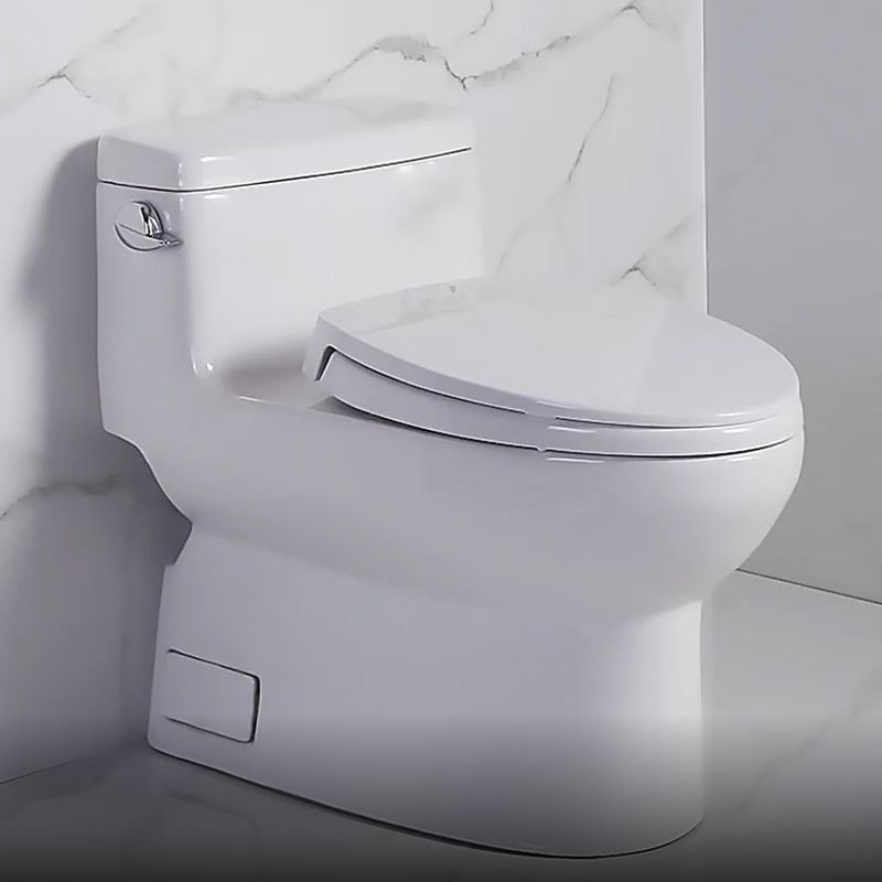 Traditional One Piece Flush Toilet Floor Mounted White Toilet Bowl for Bathroom