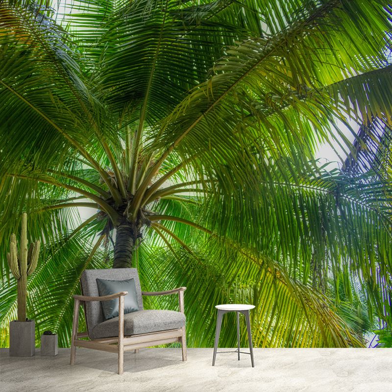 Horizontal Photography Palm Tree Mural Environment Friendly Wallpaper for Home