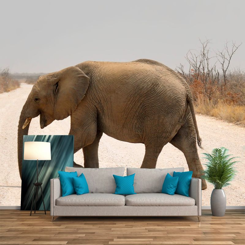 Animal Cute Photography Pattern Mildew Wall Mural Horizontalt for Living Room