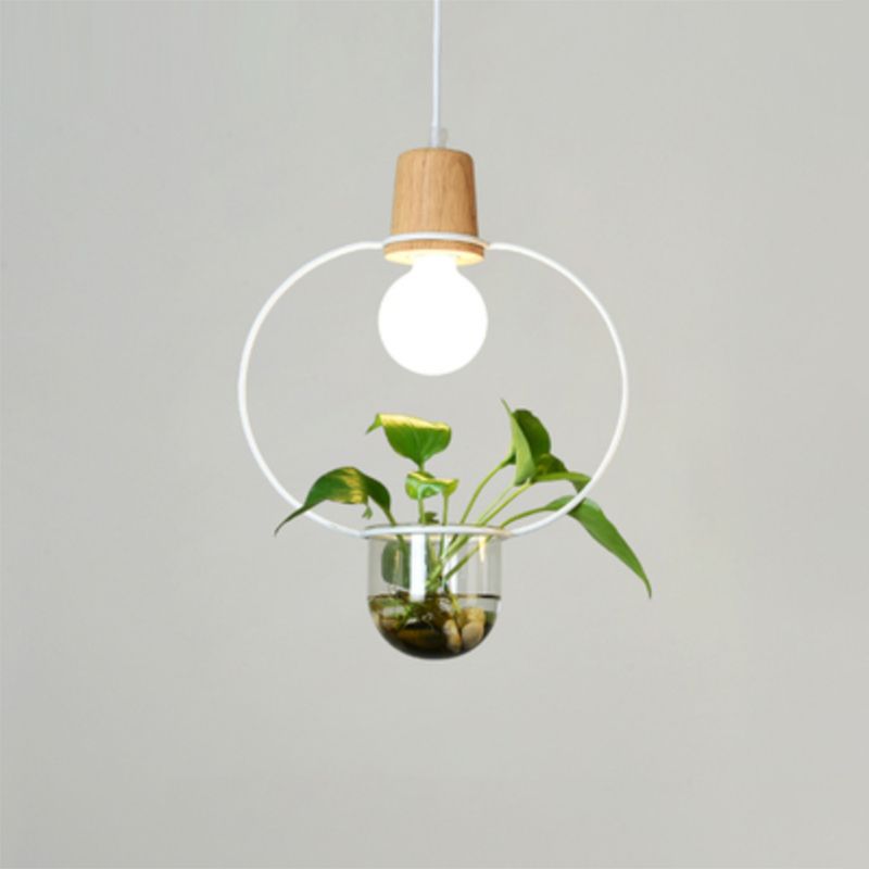 Planter Hanging Lamp Contemporary Clear Glass 1-Light Study Room Lighting Pendant