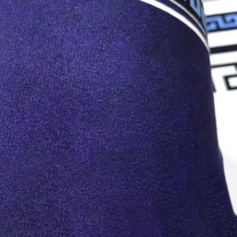 Elegant veelkleurig nostalgietapijt, polyester, takprint, binnentapijt, vlekbestendig tapijt voor woondecoratie