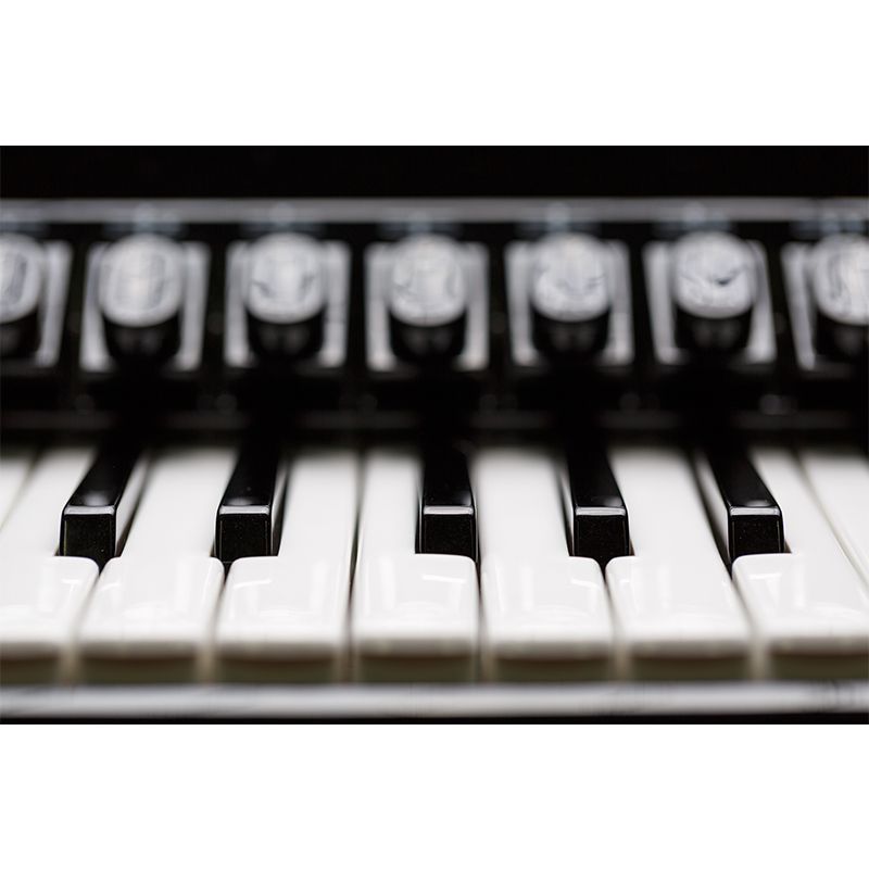 Piano Hobby Waterproofing Wall Mural Washable Wall Decor, Made to Measure