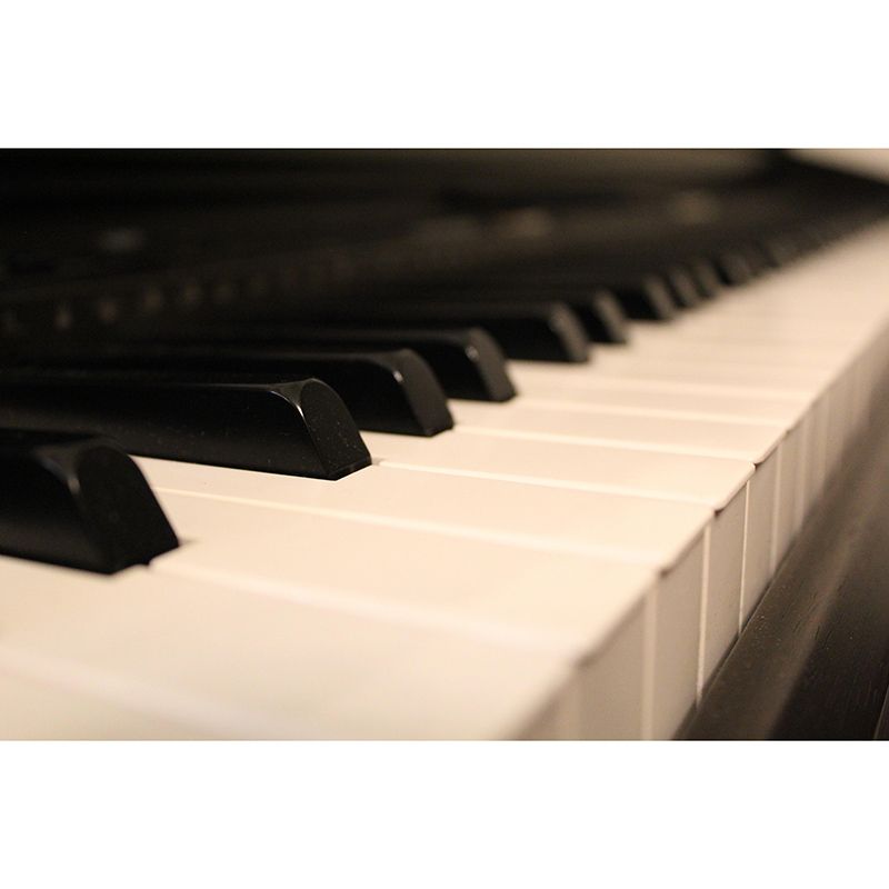 Piano Music Key Horizontal Photography Piano Mural Decorative Eco-friendly for Home Decor