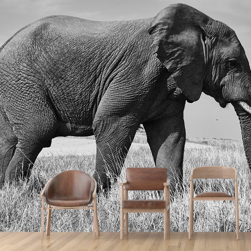 Tropics Elephant Mural Wall Decor Mildew Resistant Wall Art for Living Room