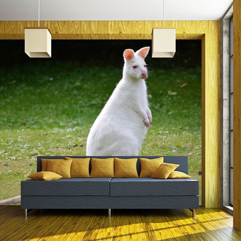 Kangaroo Contemporary Mural Decal Sitting Room Moisture Resistant Wall Decor