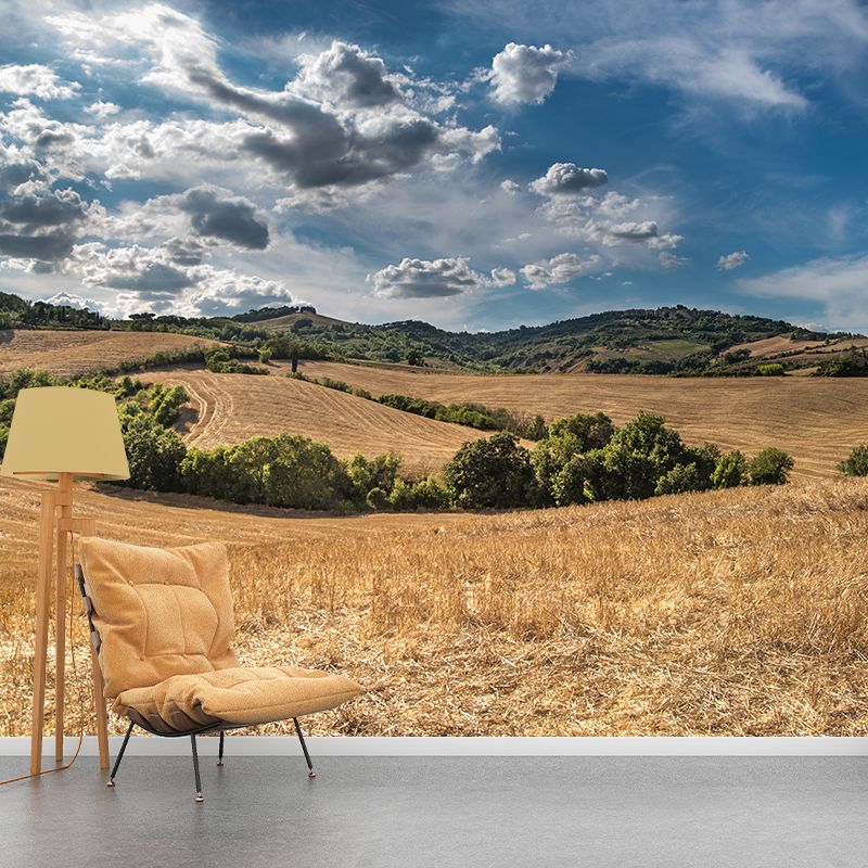 Contemporary Photo Wheat Field Mural Soft Color Stain Resistant Wall Art for Dining Room