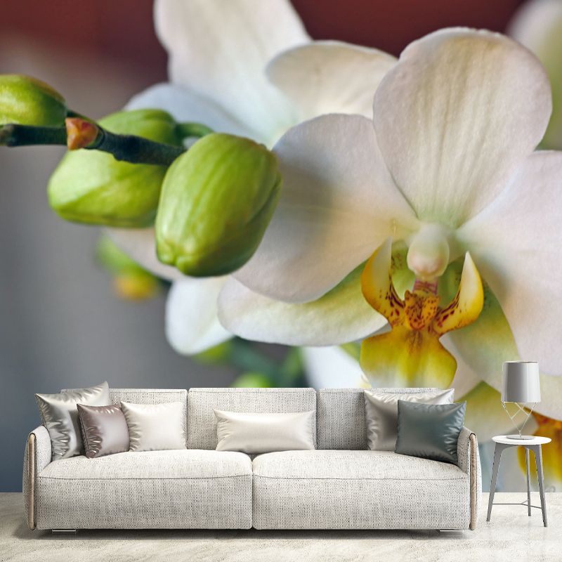 Orchid Contemporary Mural Decal Sitting Room Moisture Resistant Wall Decor