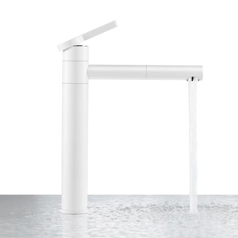 Swivel Spout Bathroom Sink Faucet with Single Handle Brass Faucet