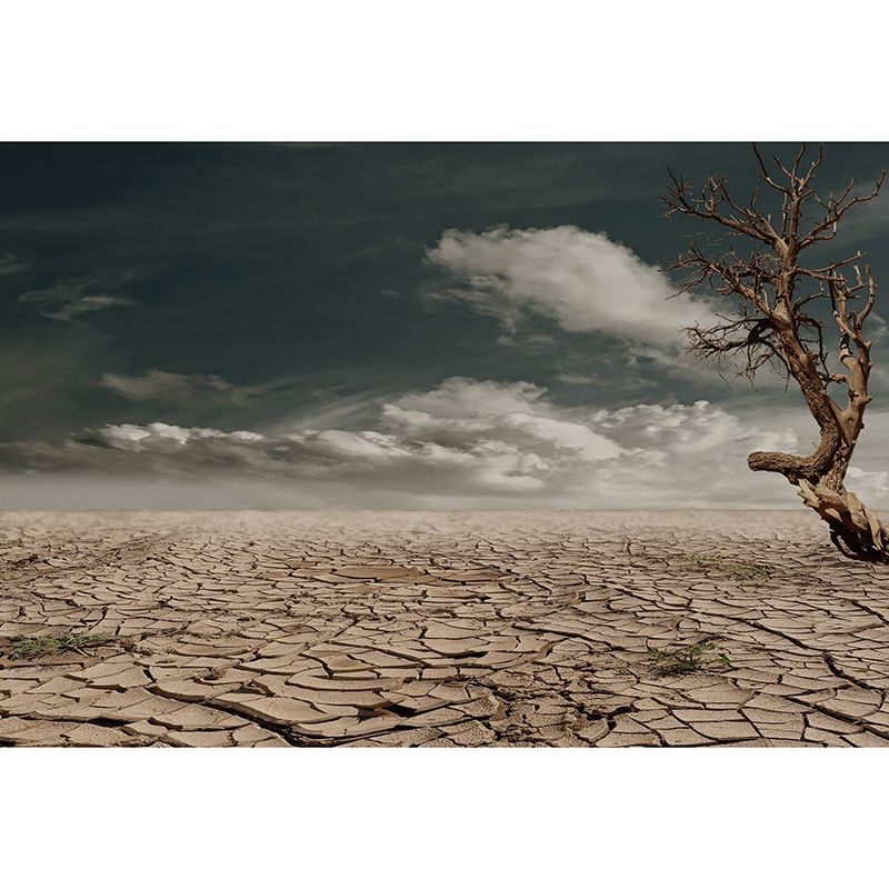 Photography Wall Mural Wallpaper Desert Sitting Room Wall Mural