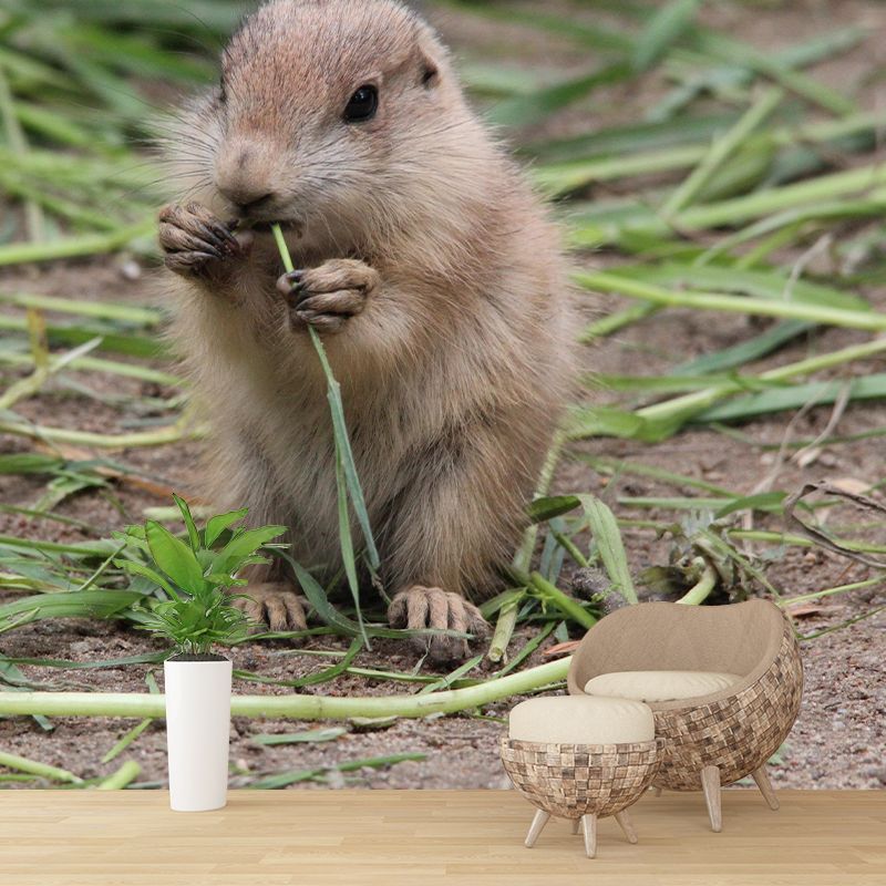 Customized Contemporary Prairie-Dog Mural Mildew Resistant for Sitting Room Bedroom