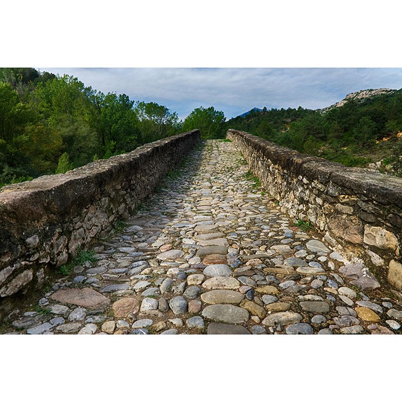 Space Extension Wall Mural Modern Style Mildew Resistant for Decoration