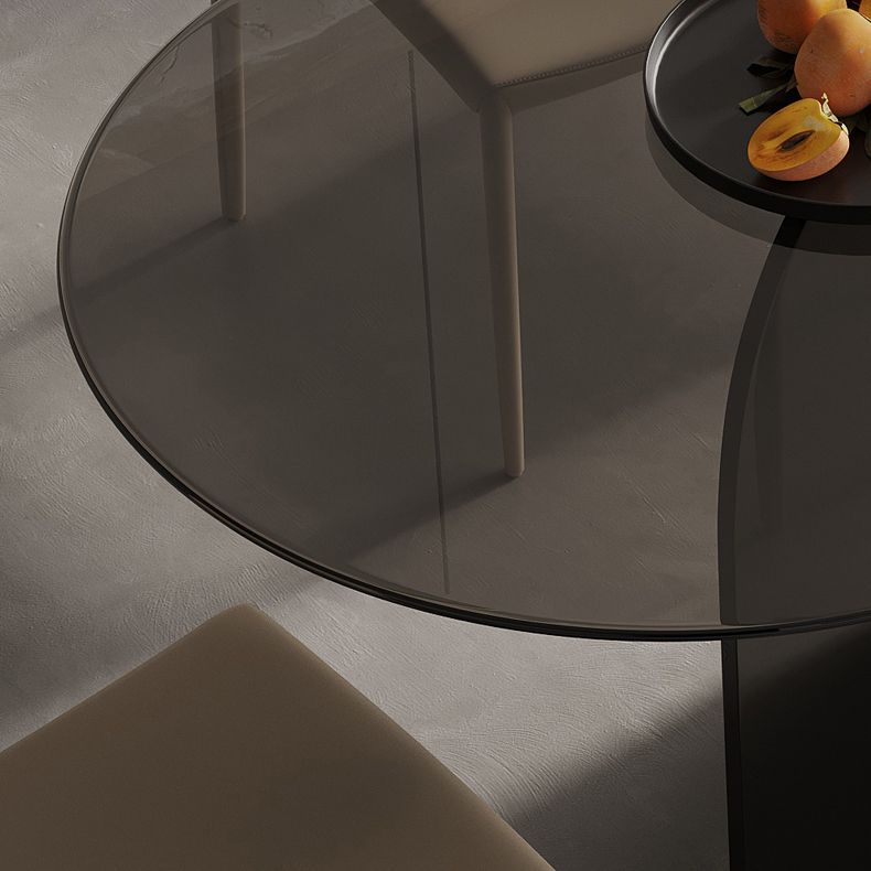 Modern Transparent Gray Glass Desktop Ellipse Dining Table for Dining Room