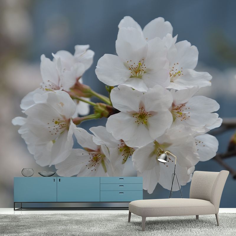 Cherry Blossom Modern Wall Covering for Sleeping Room House Decor, Waterproofing