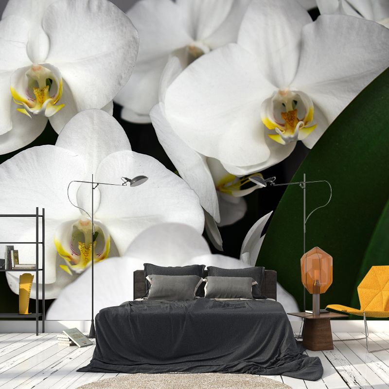 Beautiful Orchid Wall Mural Moisture Resistant Wall Decor for Sleeping Room