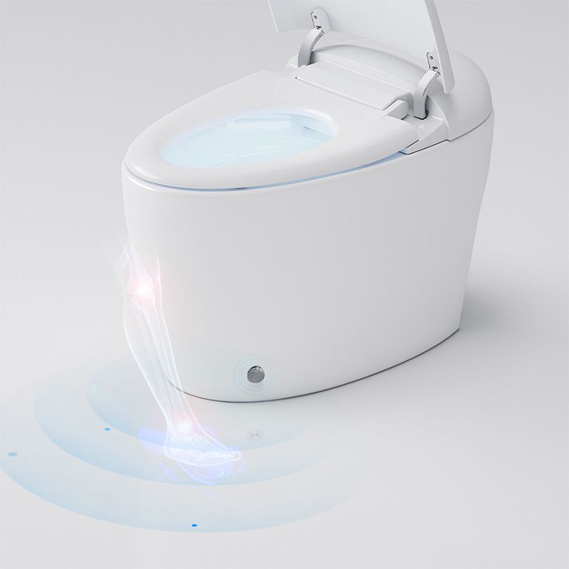 Modern Concealed Tank Urine Toilet One Piece Floor Mount Toilet Bowl with Toilet Seat