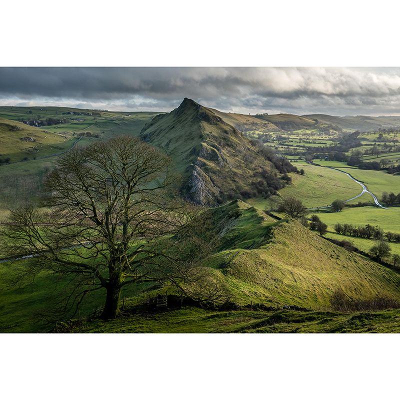 Customized Moisture Resistant Mural Wallpaper Decal Mountain in Soft Color