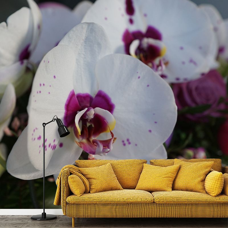 Orchid Flower Wall Covering for Sleeping Room Home Decor, Made to Measure