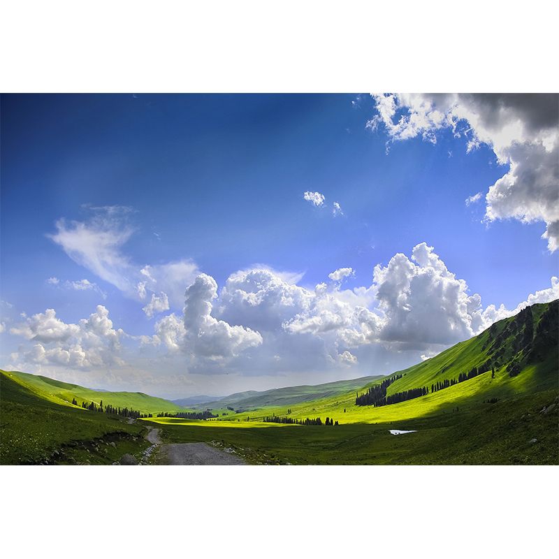 Landscapes Photography Mildew Wall Mural Horizontalt for Living Room