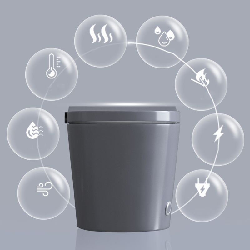 Modern Grey Siphon Jet Flush Toilet One-Piece Wall Mount Toilet for Bathroom