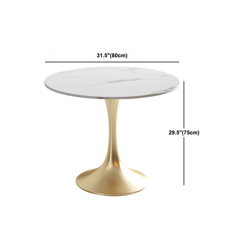 Glam Round Sintered Stone Dining Table Set 1/2/3/4/5 Pieces Dining Set for Home Use