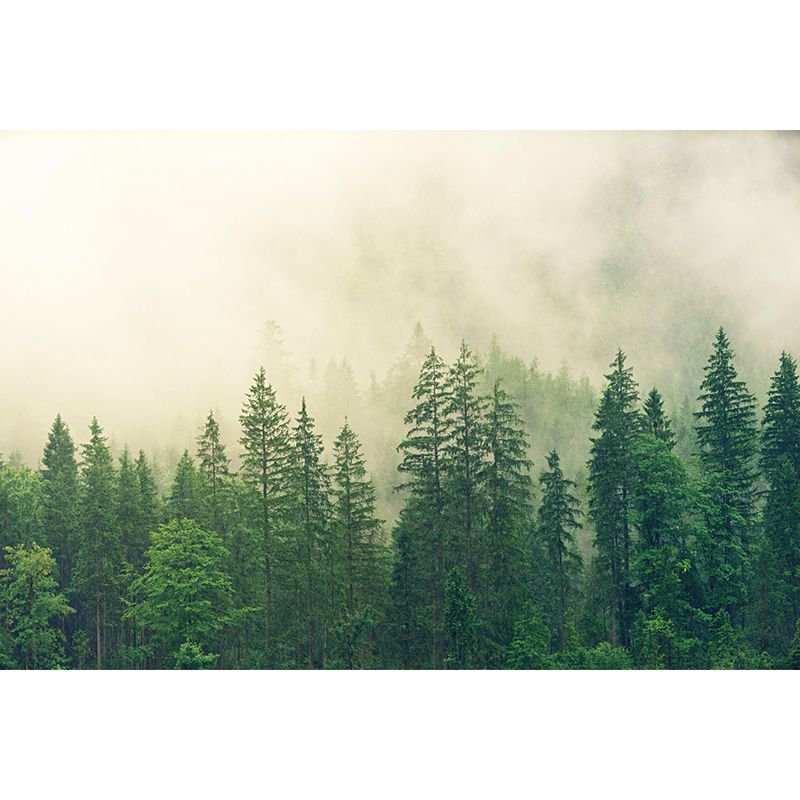 Modern Misty Forest Landscape Mural Decorative Painting Bedroom Mural Painting