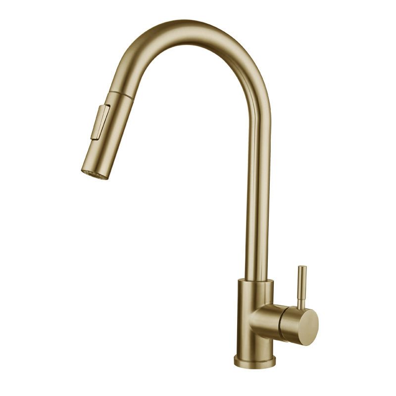 Traditional Pull down Kitchen Faucet Single Handle Faucet with Pull out Sprayer