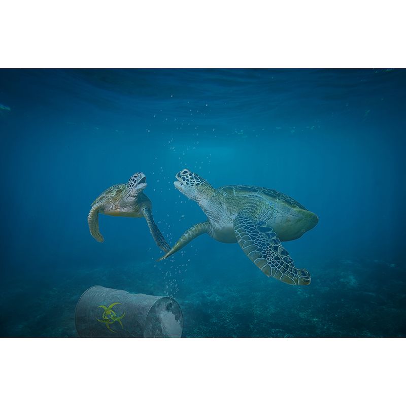 Photography Wall Mural Sea Turtle Patterned Living Room Wall Mural