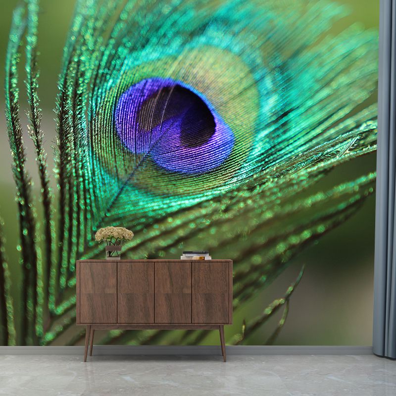 Tropical Style Peacock Feather Mural Decal for Living Room, Custom Size