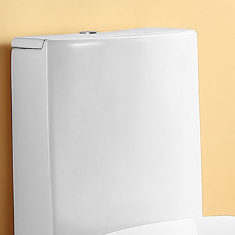 Traditional Flush Toilet Floor Mounted One-Piece Toilet Porcelain Toilet Bowl