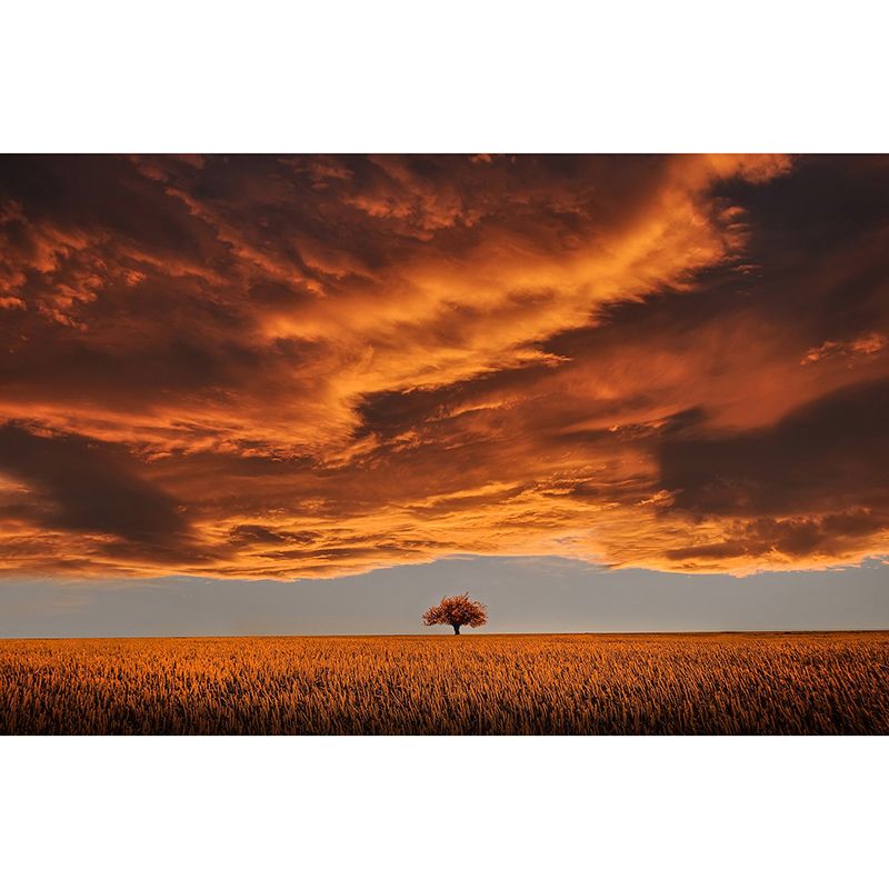 Modern Photography Mural Wallpaper Beautiful Sky Living Room Wall Mural